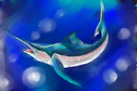 Drawing of Swordfish by luis