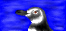 Robin の ペンギン の絵