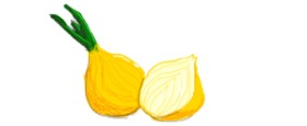Vv の 玉ねぎ の絵