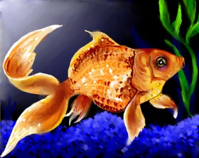 Audrey の 金魚 の絵