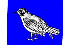Lsk の 鳥 の絵