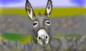 Tim の ロバ の絵