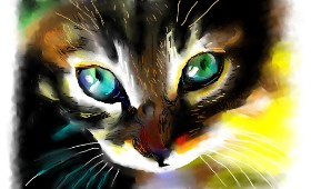 Herbert の 猫 の絵