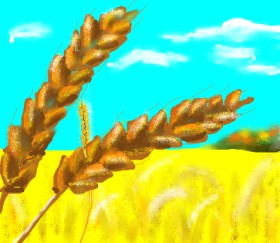 Dexl の 小麦 の絵