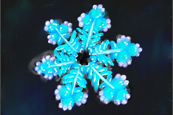 Unknown の 雪の結晶 の絵