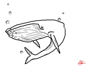 Anonymous の クジラ の絵