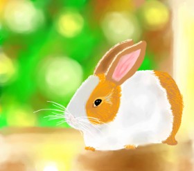 Joze の ウサギ の絵
