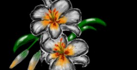 Eclat de Lune の ユリの花 の絵