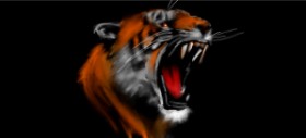 Drawing of Tiger by Annie