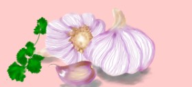 Рисунок на тему «Чеснок» — автор: Debidolittle