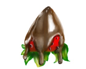 Lucy の チョコレート の絵
