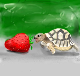 Rose rocket の カメ の絵