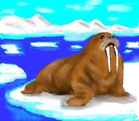 Рисунок на тему «Морж» — автор: Dexl