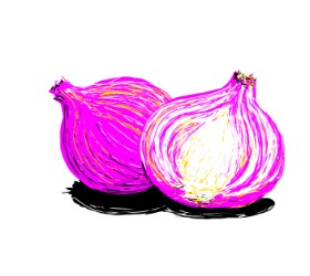 Scott の 玉ねぎ の絵