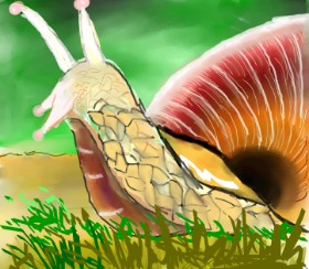 Bro の カタツムリ の絵