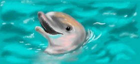 Debidolittle の イルカ の絵