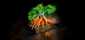 Drawing of Carrot by Çhåching