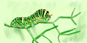 Drawing of Caterpillar by Humo de copal
