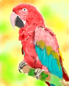 Bugoy の オウム の絵