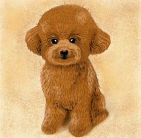 Joze の プードル の絵