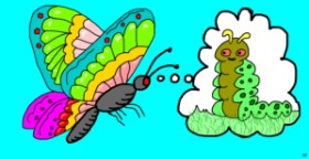 Drawing of Caterpillar by Swimmer