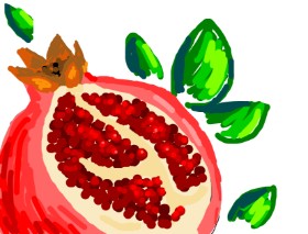 Nan の ザクロ の絵