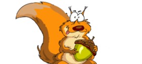 Drawing of Squirrel by Mich