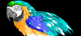 AsianWantsBlue-eyedBlonde の オウム の絵