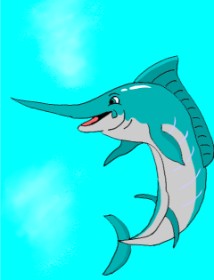 Drawing of Swordfish by Co