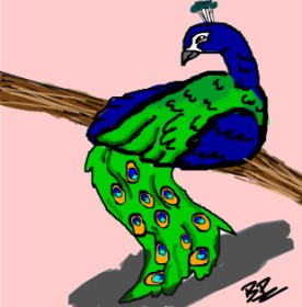 Drawing of Peacock by Brightpumpkin