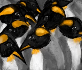 Drawing of Penguin by Kam