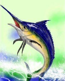 Bugoy の メカジキ の絵