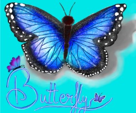 Drawing of Butterfly by Snowy