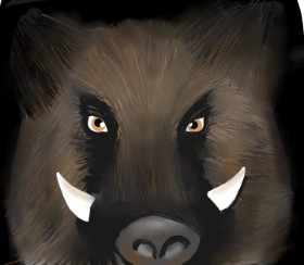 Drawing of Wild boar by RadiouChka🍉