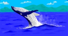 shiNIN の クジラ の絵