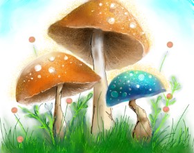 Gljiva - autor: Audrey