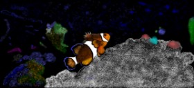 Рисунок на тему «Clownfish» — автор: Çhåching