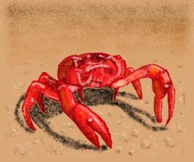 Рисунок на тему «Краб» — автор: Sam