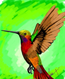 Arif の ハチドリ の絵