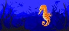 Paranoia の タツノオトシゴ の絵