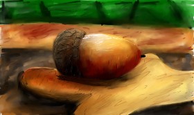 Žir - autor: Mia