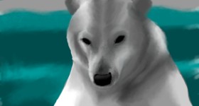 Drawing of Polar Bear by IThinkWereDoomed