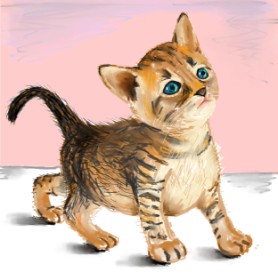 Andromeda の 猫 の絵