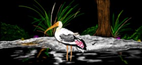 Çhåching の コウノトリ の絵