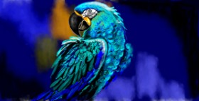 Eclat de Lune の オウム の絵