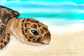 Randar の ウミガメ の絵