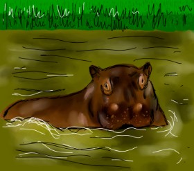 Drawing of Hippo by Joze