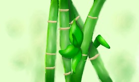 Solin の 竹 の絵
