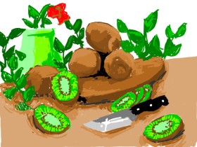 Drawing of Kiwi fruit by RonNNIEE