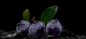 Drawing of Blueberry by Çhåching